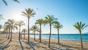 immobilien mallorca