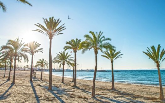 immobilien mallorca